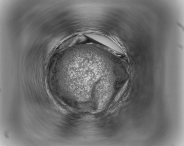 X0000095880097200802011053