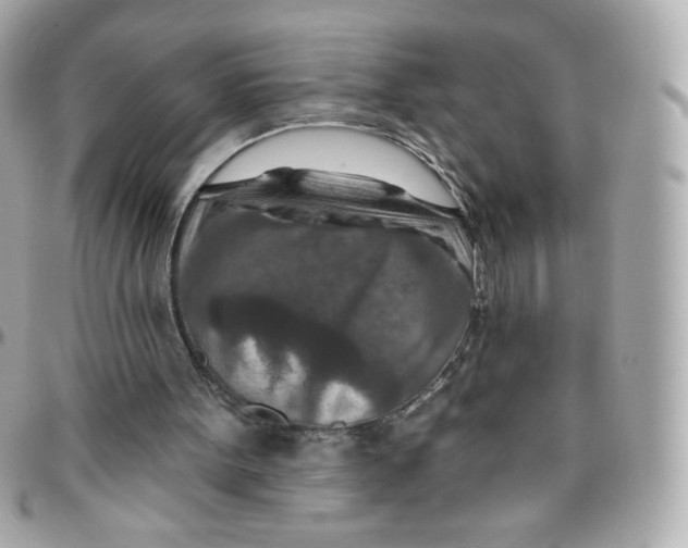 X0000095880099200802011053