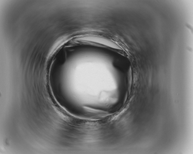 X0000095880101200802011053