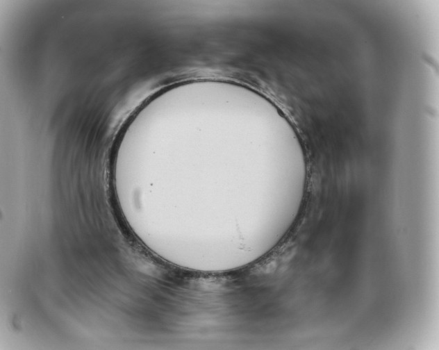 X0000095880103200802011053