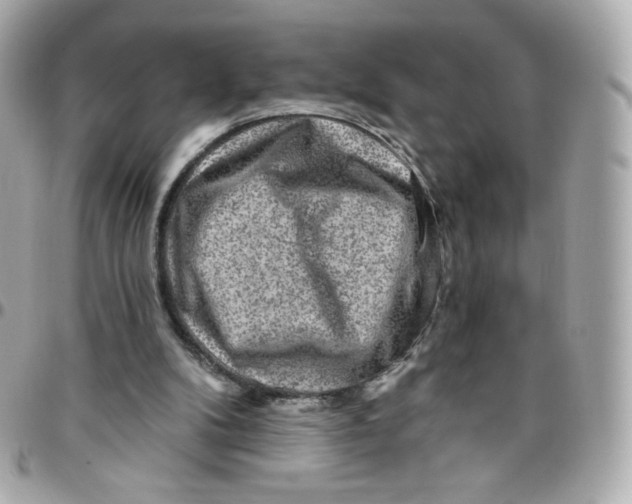 X0000095880104200802011053