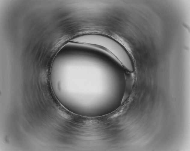 X0000095880105200802011053