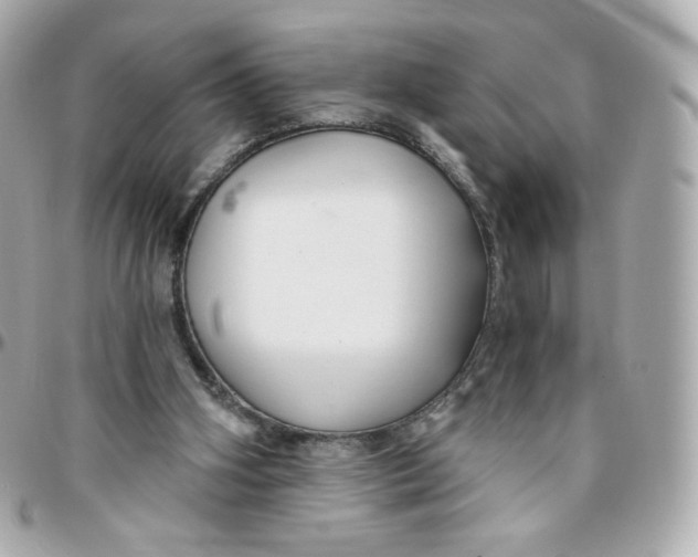 X0000095880106200802011053