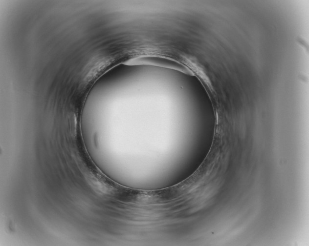 X0000095880109200802011053