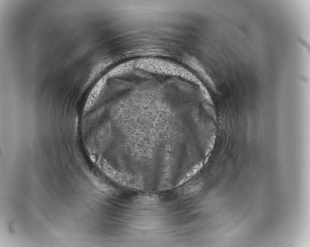 X0000095880110200802011053