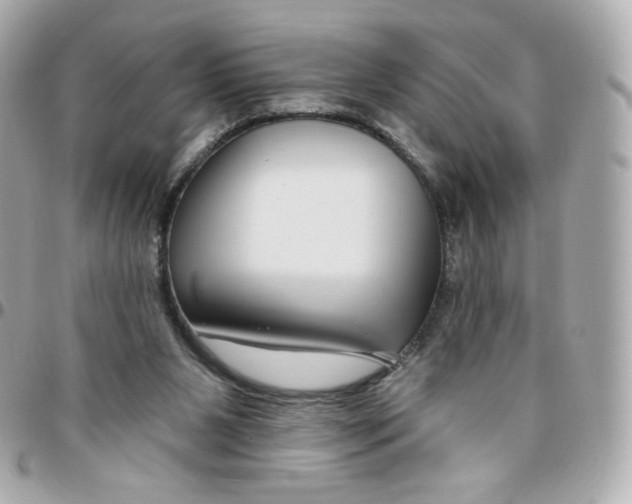 X0000095880111200802011053