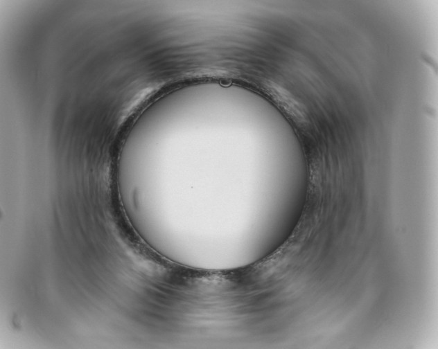 X0000095880112200802011053