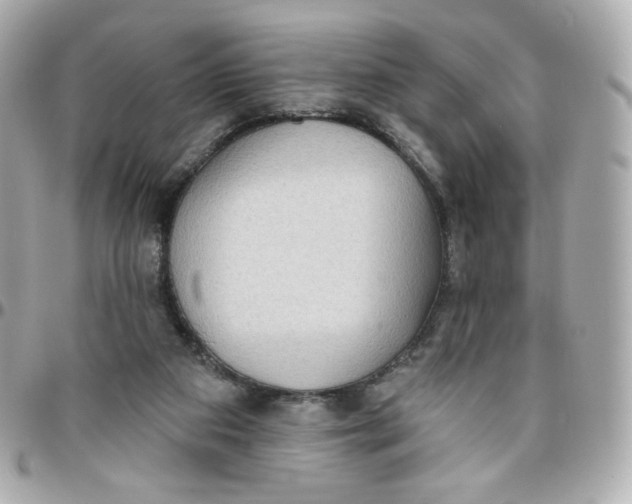 X0000095880113200802011053