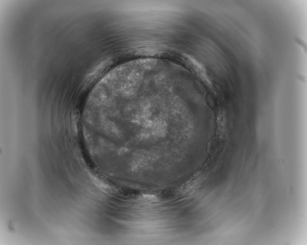 X0000095880114200802011053