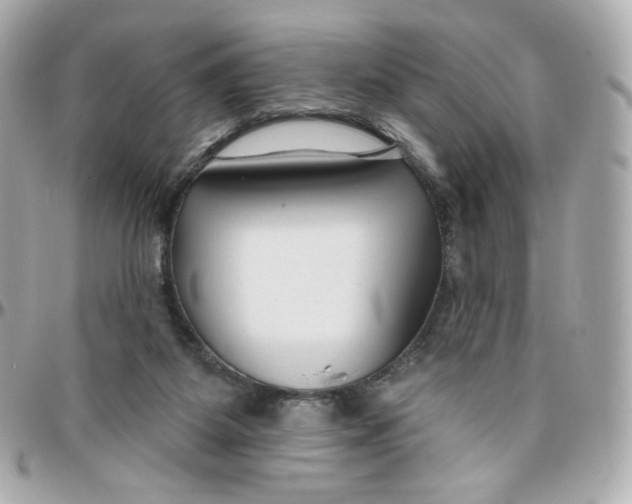 X0000095880115200802011053