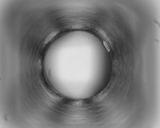 X0000095880116200802011053