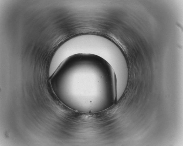 X0000095880117200802011053