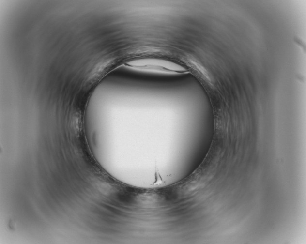 X0000095880119200802011053