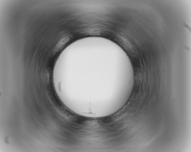 X0000095880120200802011053