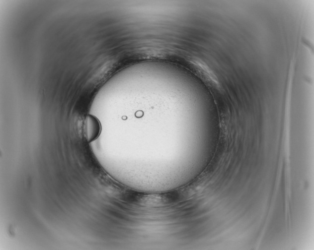 X0000095880123200802011053