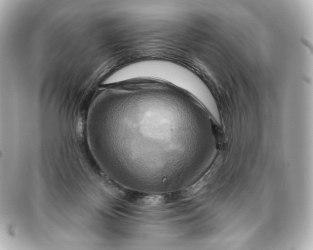 X0000095880124200802011053