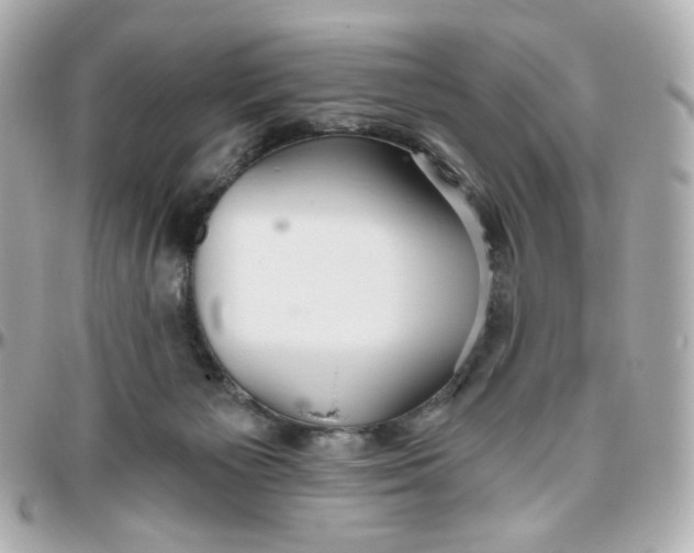 X0000095880125200802011053