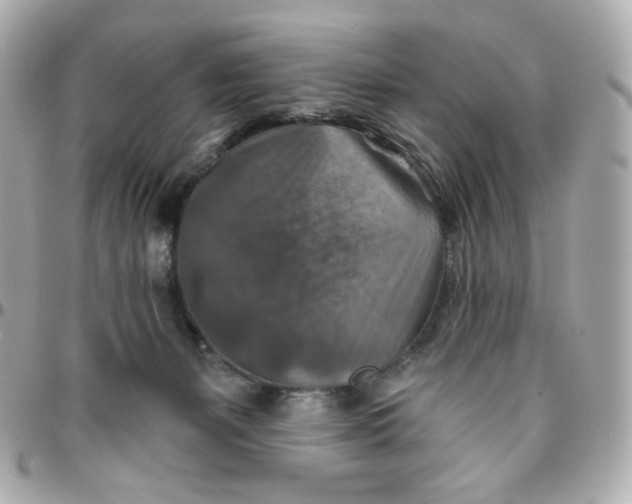 X0000095880127200802011053