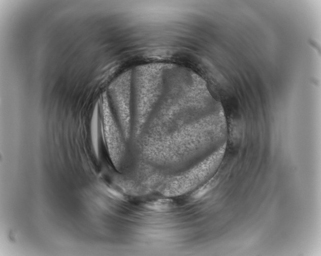 X0000095880128200802011053