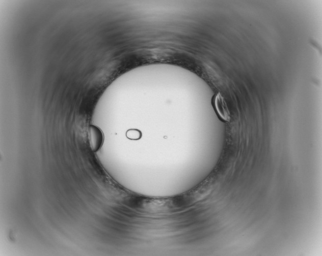 X0000095880129200802011053