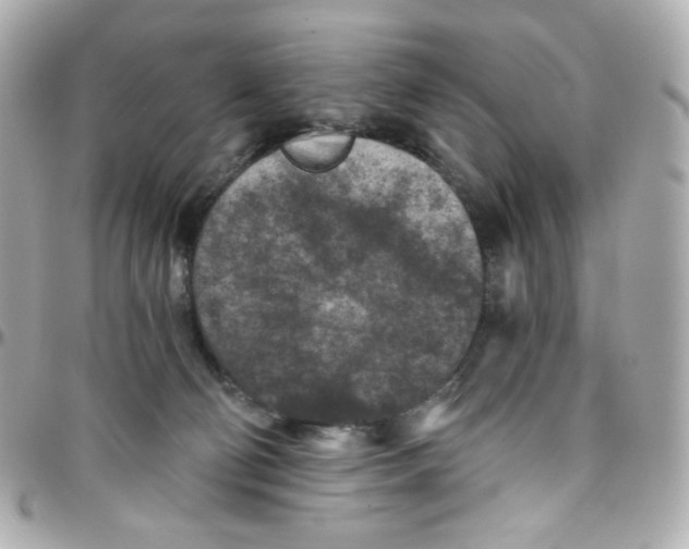 X0000095880130200802011053