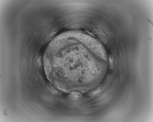 X0000095880131200802011053