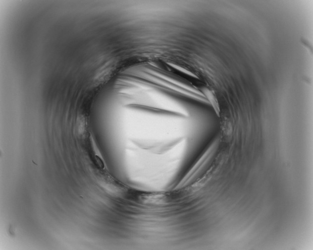 X0000095880132200802011053