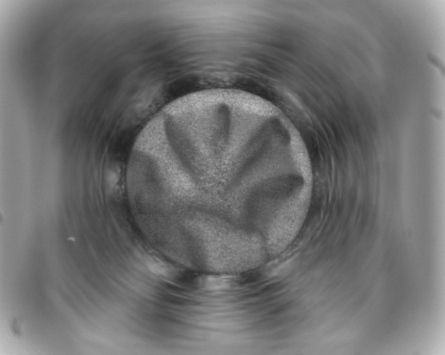 X0000095880134200802011053