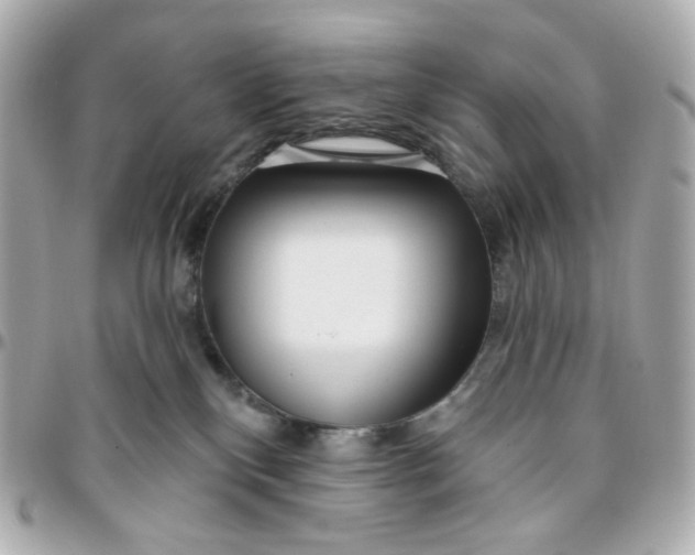 X0000095880136200802011053