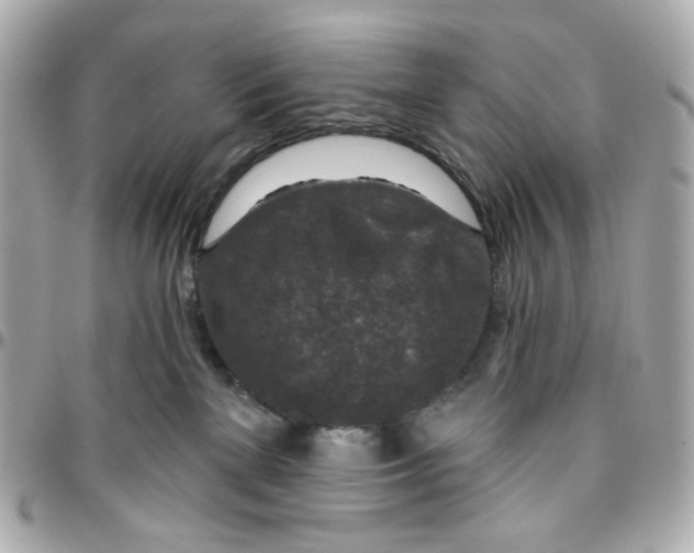 X0000095880137200802011053