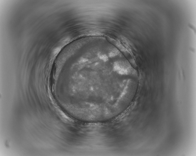 X0000095880145200802011052