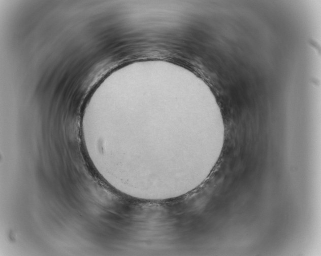 X0000095880146200802011052