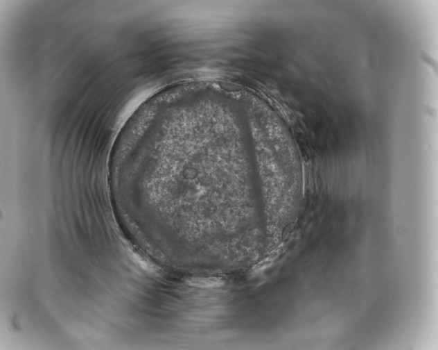 X0000095880147200802011052