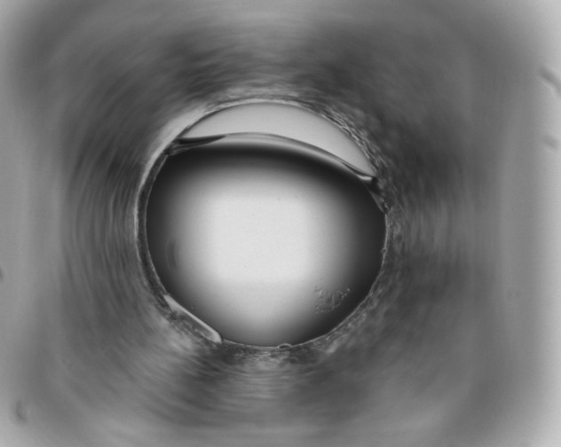 X0000095880148200802011052