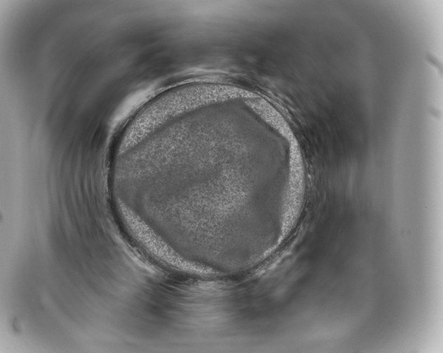 X0000095880149200802011052