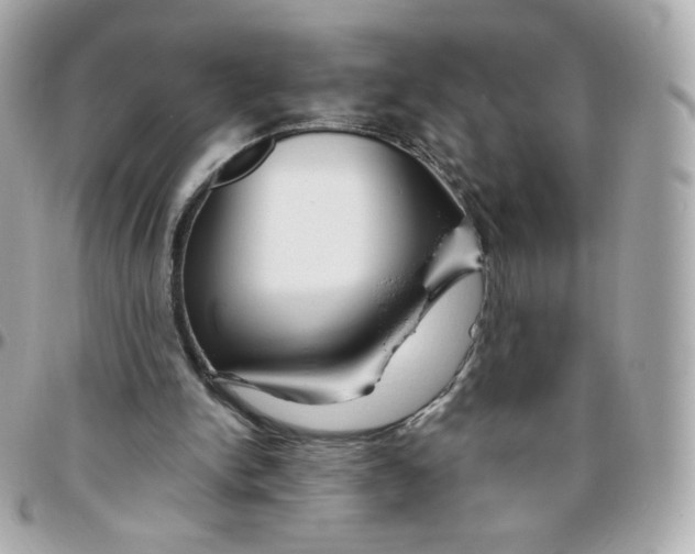 X0000095880150200802011052