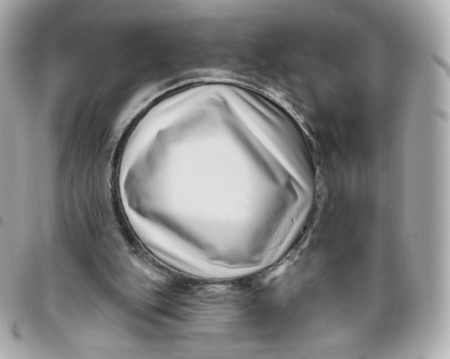 X0000095880151200802011052