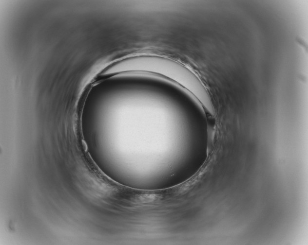 X0000095880152200802011052