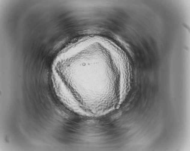 X0000095880153200802011052