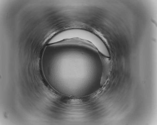 X0000095880154200802011052