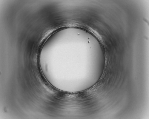 X0000095880155200802011052