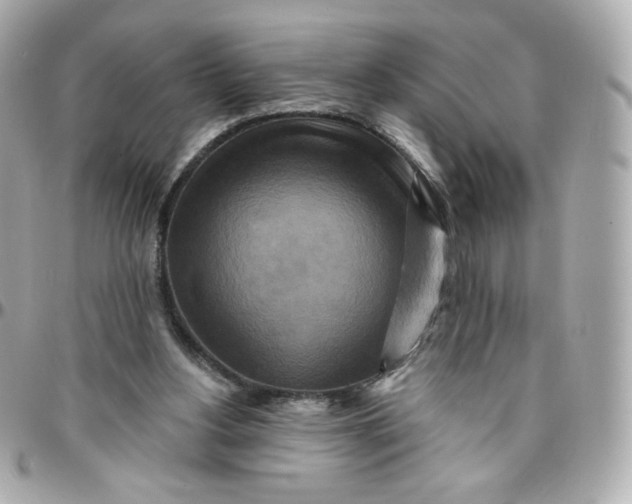 X0000095880156200802011052