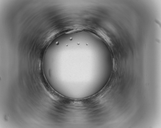 X0000095880157200802011052