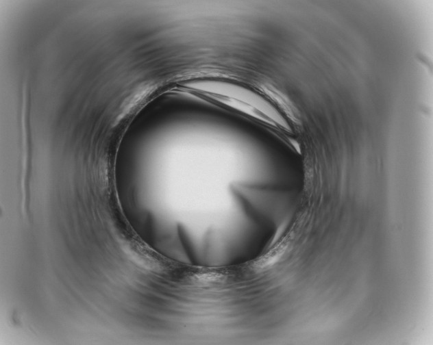 X0000095880158200802011052