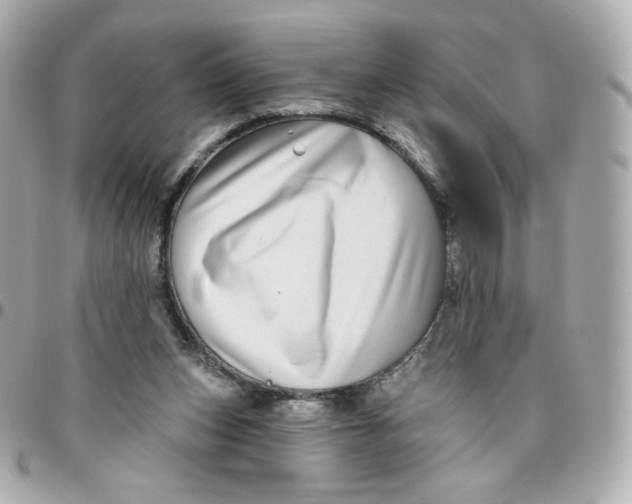 X0000095880159200802011052