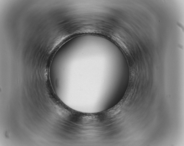 X0000095880160200802011052