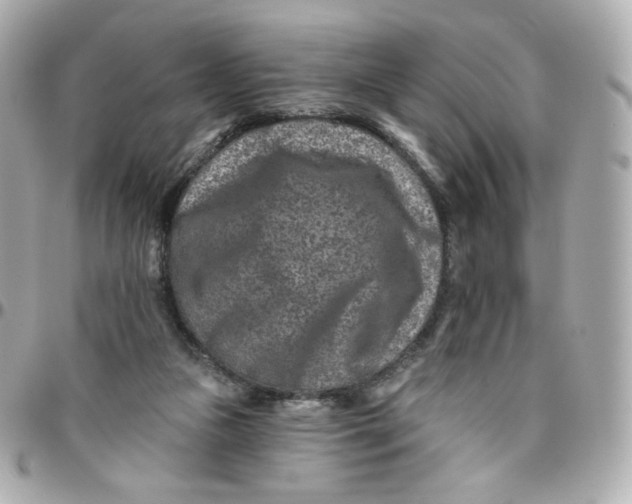 X0000095880161200802011052