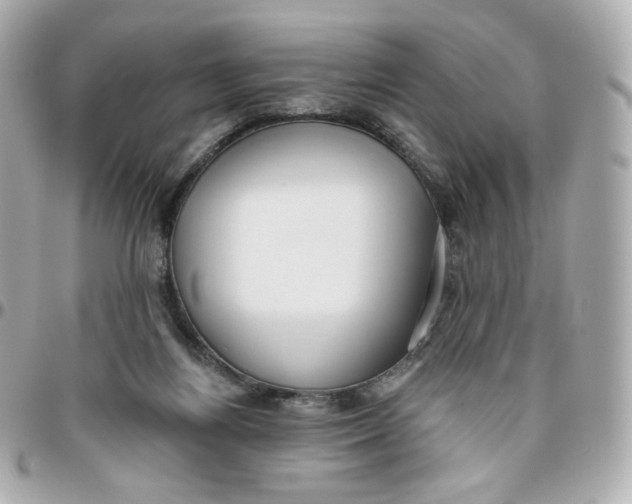 X0000095880164200802011052