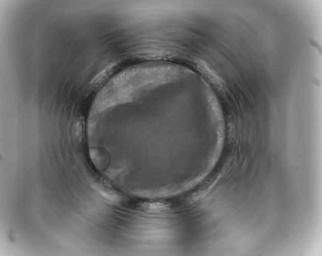 X0000095880165200802011052