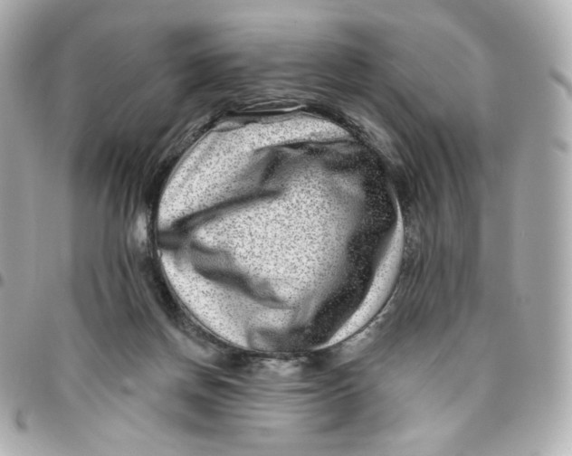 X0000095880166200802011052